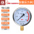 富阳华仪仪表不锈钢耐震压力表油压液压表带油气压表 0-60MPA=600公斤 M20*1.5