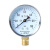 水压表自来水水压测压表分分分水管地暖检测压力表 1.0MPa10KG配4分接头