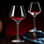 RCOMS1950 红酒杯套装 水晶玻璃高脚杯葡萄酒杯酒具套装 U型醒酒器+酒杯+杯刷+海马刀