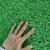 【优选】仿真草坪地毯幼儿园绿地仿真人造塑料草皮地毯露台花园假 翠绿2.0春草特密绿背胶款 1米宽-长度需要几米拍几件