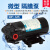 新西山DP-125隔膜泵工业清洗机增压泵RO膜工程橡胶塑料高压隔膜泵 12V