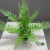 JDNXX仿真小植物把束室内装饰假花婚庆塑料布置花假绿植尤加利波斯草 （35cm高）苹果叶单束 （不含盆