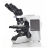 OLYMPUS正置显微镜 BX43FC