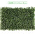 仿真草坪假绿植带花隔断植物墙塑料装饰绿草皮垫地毯造景摆设窗台 40厘米宽 X 60厘米长 米兰