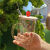奶茶杯可循环创意新款高硼硅透明玻璃杯可爱水果高颜值家用果汁杯吸管杯大容量 草莓 杯+陶瓷盖+吸管+刷+礼盒