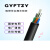 GYFTZY-24B1.3室外管道光纤4/8/12/16/48/96/144芯非金属阻燃光缆 GYFTZY-24芯