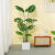 雅致仿真绿植龟背叶竹植物北欧ins风造景仿真假盆栽客厅室内装饰摆件 1.2米+灰色方形水泥盆