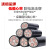 沈缆金环 ZR-YJV22-0.6/1KV-3*10mm² 国标铜芯铠装阻燃电力电缆 1米