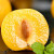 九牛山黄桃水果油桃子蒙阴当季应季时令鲜果净重4.5斤装 源头直发