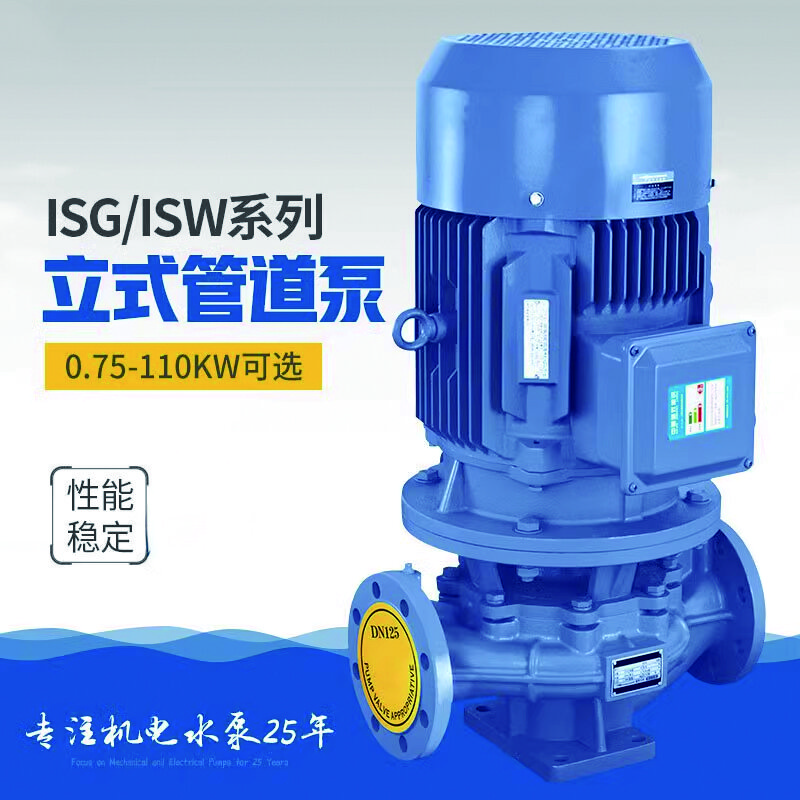 雷动 人民IRG立式管道泵三相离心泵冷却塔增压工业380V暖气循环泵铜 IRG32-125-0.75KW4.5吨20米 