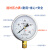 闲遇 耐震压力表YN100液油压表水压表抗震1.6mpa防震径向0-40mpa YN-100表面 0-0.6mpa