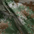久臻 108 绿色防水防汛反光套装男女高速路政道路公路巡逻分体雨衣雨裤 2XL码（180）