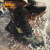 吉普（JEEP）户外登山靴男士水路两栖战术靴防滑耐磨沙漠徒步鞋高帮越野工装靴 沙色运动码 39