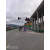 红绿灯杆监控杆道路八角杆交通信号灯杆电子杆交通标志杆 常规加大F杆2*3米 主杆φ273*7.5米