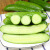 崔芝崔芝（CUIZHI）山东水果小黄瓜3斤新鲜水果健康轻食沙拉 产地直发