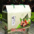 乐瑥（LEWEN）端午粽子包装盒礼盒送礼佳品手提创意新款绿色粽子通用盒定制 1个 端午飘香粽绿色款