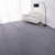 定制办公室地毯商用PVC拼接方块客厅台球厅水泥地隔音地垫大面积 浅灰色加强型 50*50cm1块沥青底