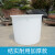 访客  塑料水塔【600L白色大号】水桶加厚储水桶储存水罐蓄水箱PE塑料搅拌桶化工桶豆腐缸
