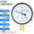 上海仪川仪表 径向负压真空压力表Y100 水压油压气压表 0-1.6MPa 压力真空表Y100 -0.1-0.3MPa