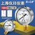 SYCIF上海仪川仪表厂压力表测水压耐震压力表防震抗震充油YN60径向安装 YN-60 0-0.1MPA 1公斤