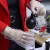 星工（XINGGONG）一次性PE手套XGS-Y5 加厚食品餐饮美容家务手套 透明塑料手膜 100只