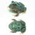朵芮蜜活体爬宠两栖宠物青蛙蝌蚪绿黄金观赏活体非洲牛蛙 绿蛙3-4厘米+饲养盒镊子食物