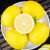 绿相忆四川安岳黄柠檬 现摘新鲜水果酸甜爽口时令生鲜泡茶切片 2斤装(单果50-90g)