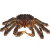 活冻蟹海鲜鲜活水产十斤特大红毛蟹雪蟹面包蟹珍宝蟹波龙 活冻蟹8.6斤(8.6~9斤一只)