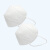工霸（GONGBA）KN95口罩 立体自吸过滤式防颗粒物呼吸器耳戴式 非独立包装 5只/袋
