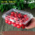 市一次性水果包装盒透明塑料盒水果500M水果店一斤装草莓打包盒 125克蓝莓盒-100个 250克果蔬盒-100个
