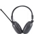 台达（DELTA）英语四六级听力耳机四级4级六级46级fm调频考试头戴式无线收音机  官方标配