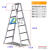 宝富 TCL铝合金直马梯折叠加厚人字梯工程梯双侧直梯 六阶直马梯(TCL-6)/1.78米