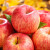洛川苹果洛川水果苹果红富士冰糖心时令新鲜水果礼盒 脆甜整箱2024年当季 4.5斤 75mm 甄选中果 个大果圆