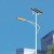 IRE 太阳能路灯 FRE2102 100W 6m 含控制箱蓄电池基础及太阳能组件