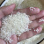 宜享健康农家自产东北大米长粒香米1斤黑龙江稻花香2号500g 粳米* 稻花香500克尝鲜口袋粮