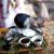 食芳溢TOOCA埃塞俄比亚进口 新鲜烘焙 摩卡咖啡豆 500克 重度粉