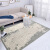 萨蒙路易（SRMOROER）手工纯羊毛加厚地毯现代简约北欧风客厅沙发茶几毯满铺卧室隔音毯 ML0561 3米x4米