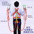 定制适合欧式全身缓冲五点式高空作业安全带空调安装户外施工保险 全涤纶欧式缓冲双大钩3米