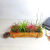 素蜜 SMMIO空气凤梨无土懒人植物花卉盆栽室内好养净化空气办公桌摆件 朵芮 小束花(3-4cm) 欢迎