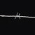 海斯迪克 HKCX-12 钢丝刺绳 防盗刺围栏刺绳 刺蒺藜隔离护栏 2.1mmx200m铁丝刺距12cm