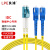 良浦 电信级单模万兆光纤跳线 单模双芯Φ2.0（LC-SC，9/125）5米 光纤线尾纤跳纤 NG-2LC-SC-S5