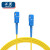 千天（Qantop）电信级光纤跳线 SC-SC单模单芯 低烟无卤 收发器尾纤 10米 QT-DL14T