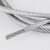 SDFFKOS304不锈钢包塑晾衣绳大棚架子防护网涂塑包胶钢丝绳遮阳网裹胶绳 包塑钢丝绳8mm3米价