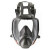 3M  防毒面罩 全面型防护面罩6800(中号)