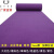 灰色地毯卧室满铺房间全铺客厅楼梯拍照办公室商用大面积整卷 紫色拉绒    (标准款4-5毫米) 1米宽1米长/要几米拍1几件