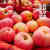 来伊份（LYFEN）蒸苹果干500g小包装美味健康水果干果肉开袋即食小零嘴休闲 蒸苹果干500g(约17-20)