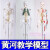 45 85 170cm人体骨骼模型骨架人体模型小白骷髅教学脊椎身 170厘米【脊椎神经+间椎盘 +韧带】