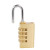 RESET 密码锁挂锁拉杆箱包锁 背包密码挂锁健身房储物柜工具箱锁 RST-055中号铜挂锁
