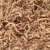 澳颜莱毛毛虫水苔蝴蝶兰换种盆种植土保湿透气乌 陶粒中粒10-15MM250克