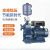 普轩特变频自吸增压泵全自动大流量大功率抽水泵恒压供水水泵 20方50米380V/2寸5.5千瓦 BZ50-5